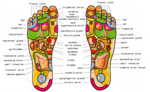 Reflex Point™ Foot Roller